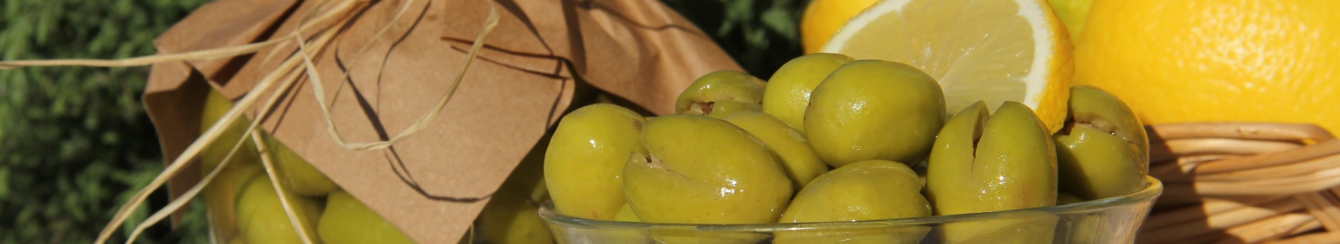 Zeytin ve Zeytinyağı