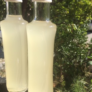 Elma Sirkesi 250 ml 
