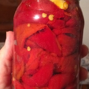 Köz Biber 350 gr 